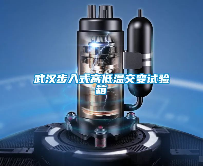 武漢步入式高低溫交變試驗(yàn)箱