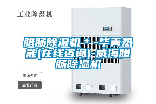 臘腸除濕機(jī)＊-華青熱能(在線咨詢)-威海臘腸除濕機(jī)