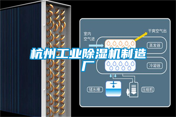 杭州工業(yè)除濕機(jī)制造廠
