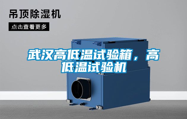 武漢高低溫試驗箱，高低溫試驗機