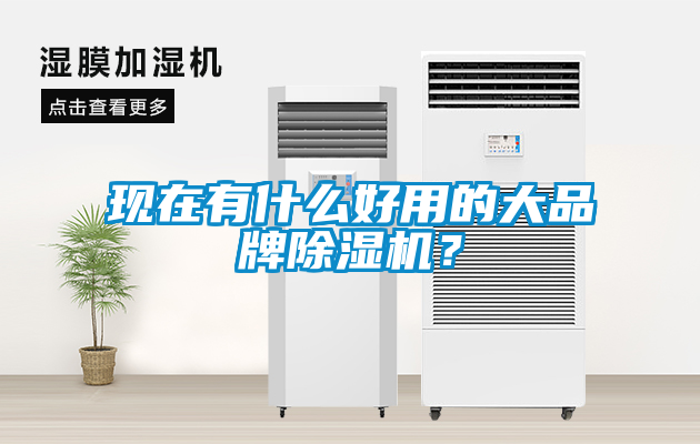 現(xiàn)在有什么好用的大品牌除濕機(jī)？