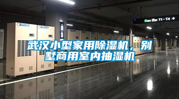 武漢小型家用除濕機，別墅商用室內(nèi)抽濕機