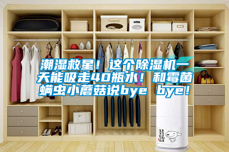 潮濕救星！這個(gè)除濕機(jī)一天能吸走40瓶水！和霉菌螨蟲小蘑菇說bye bye！