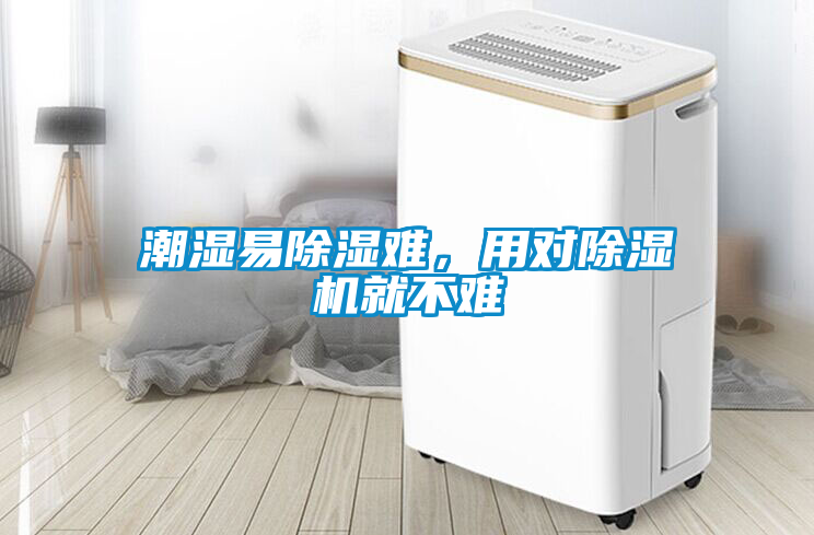潮濕易除濕難，用對除濕機就不難