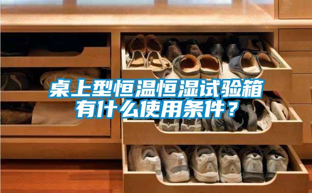 桌上型恒溫恒濕試驗(yàn)箱有什么使用條件？