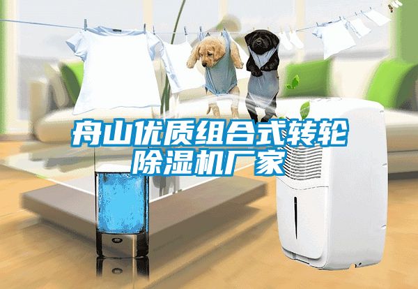 舟山優(yōu)質組合式轉輪除濕機廠家