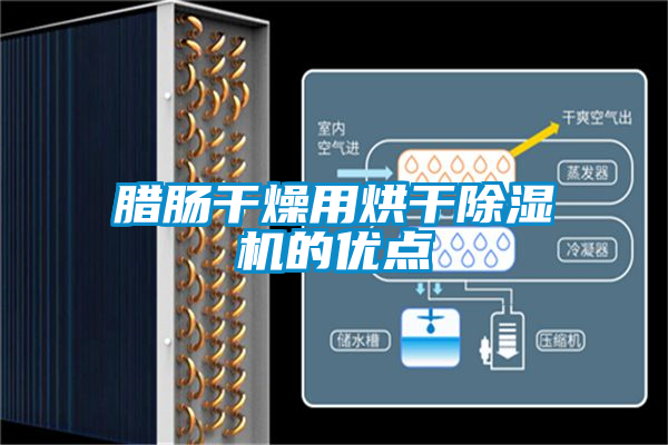 臘腸干燥用烘干除濕機的優(yōu)點