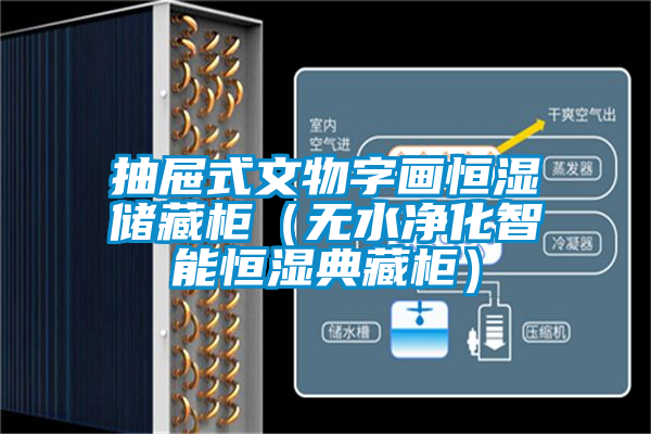 抽屜式文物字畫恒濕儲藏柜（無水凈化智能恒濕典藏柜）