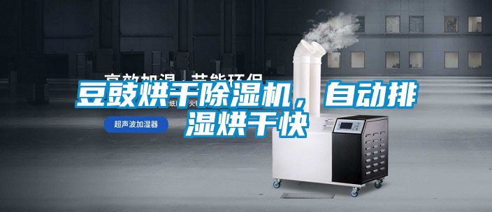 豆豉烘干除濕機(jī)，自動排濕烘干快