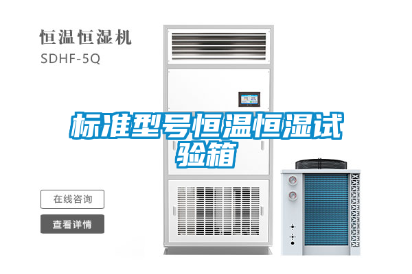 標(biāo)準(zhǔn)型號恒溫恒濕試驗箱