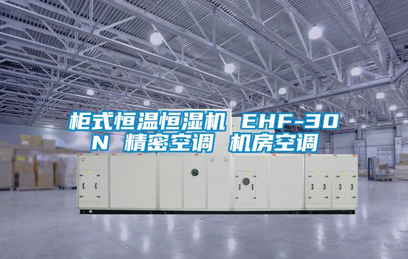 柜式恒溫恒濕機(jī) EHF-30N 精密空調(diào) 機(jī)房空調(diào)
