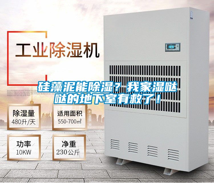硅藻泥能除濕？我家濕噠噠的地下室有救了！