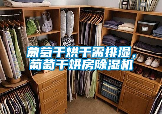 葡萄干烘干需排濕，葡萄干烘房除濕機(jī)