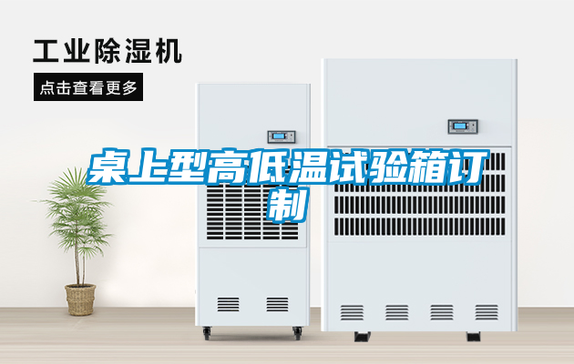 桌上型高低溫試驗(yàn)箱訂制