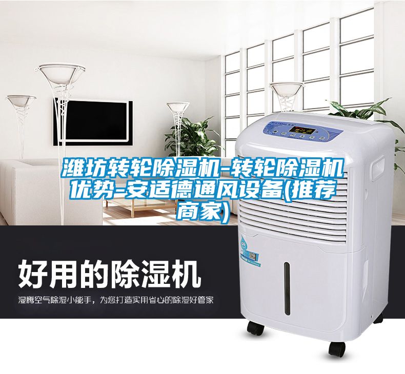 濰坊轉輪除濕機-轉輪除濕機優(yōu)勢-安適德通風設備(推薦商家)