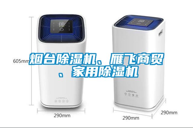 煙臺除濕機、雁飛商貿(mào)、家用除濕機
