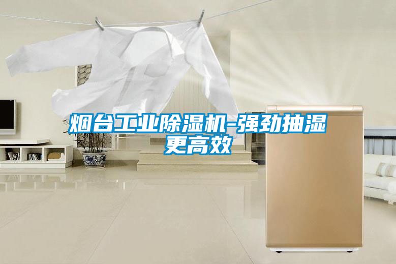 煙臺工業(yè)除濕機(jī)-強(qiáng)勁抽濕更高效