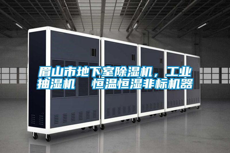 眉山市地下室除濕機，工業(yè)抽濕機  恒溫恒濕非標機器