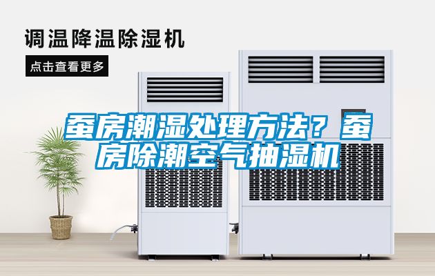 蠶房潮濕處理方法？蠶房除潮空氣抽濕機