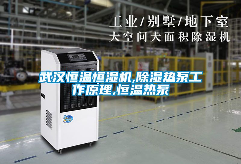 武漢恒溫恒濕機,除濕熱泵工作原理,恒溫?zé)岜?/></p>
						    <p style=