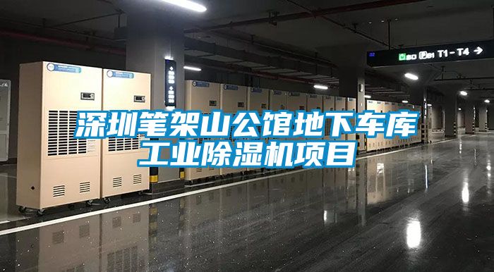 深圳筆架山公館地下車庫(kù)工業(yè)除濕機(jī)項(xiàng)目
