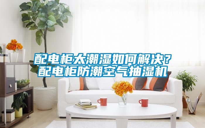 配電柜太潮濕如何解決？配電柜防潮空氣抽濕機(jī)