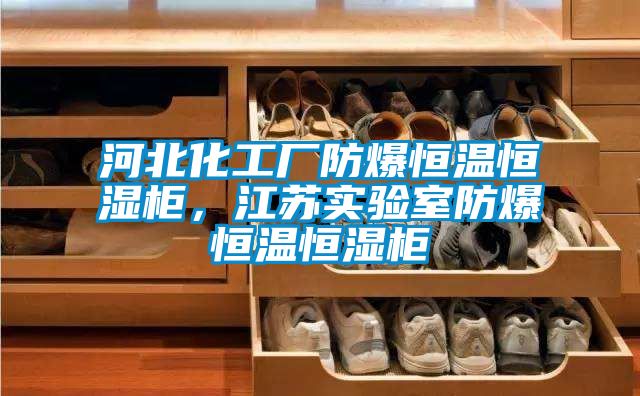河北化工廠防爆恒溫恒濕柜，江蘇實(shí)驗(yàn)室防爆恒溫恒濕柜