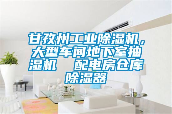 甘孜州工業(yè)除濕機，大型車間地下室抽濕機  配電房倉庫除濕器