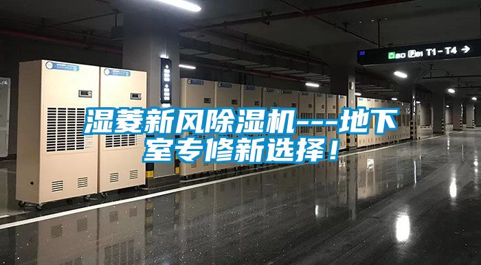 濕菱新風(fēng)除濕機(jī)---地下室專修新選擇！