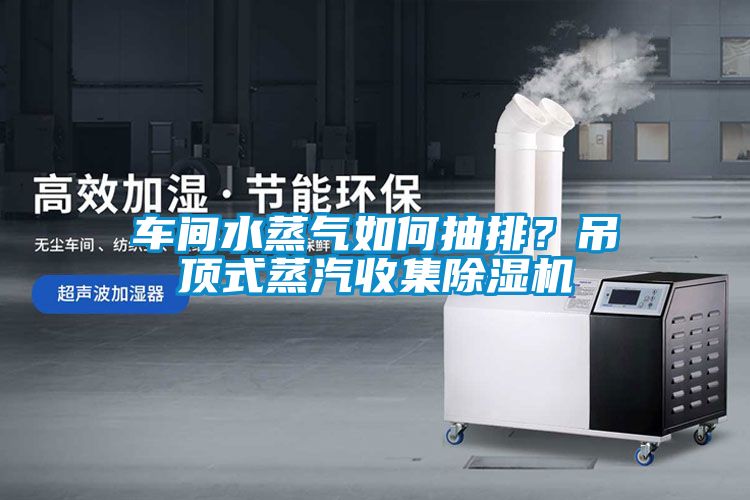 車間水蒸氣如何抽排？吊頂式蒸汽收集除濕機(jī)
