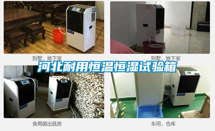 河北耐用恒溫恒濕試驗(yàn)箱