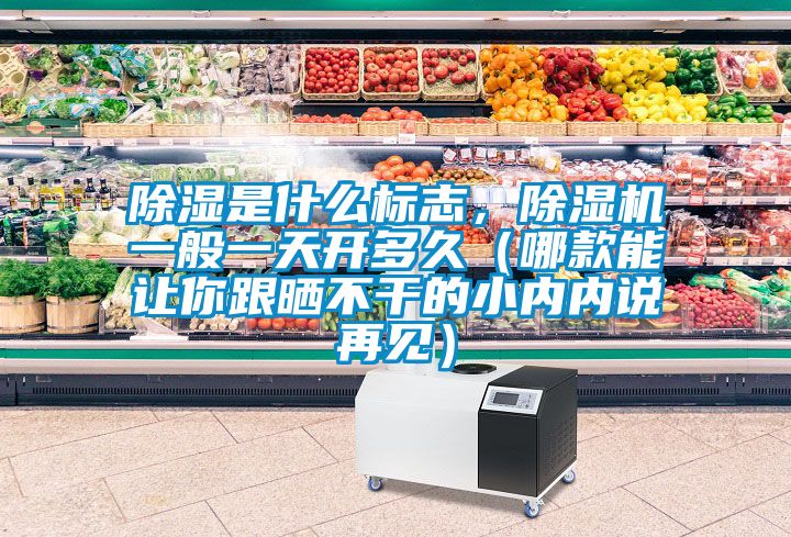 除濕是什么標(biāo)志，除濕機(jī)一般一天開多久（哪款能讓你跟曬不干的小內(nèi)內(nèi)說再見）