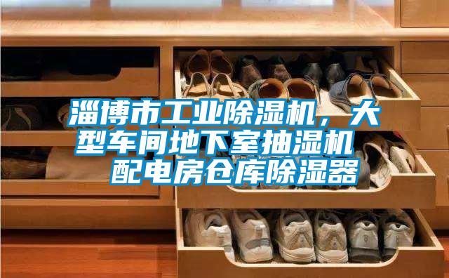 淄博市工業(yè)除濕機(jī)，大型車間地下室抽濕機(jī)  配電房倉(cāng)庫(kù)除濕器