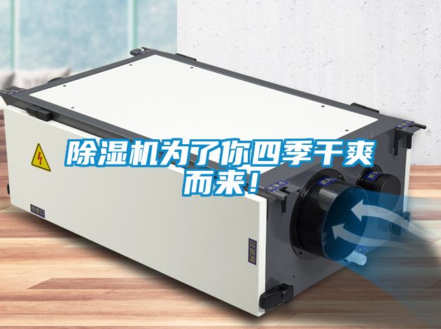 除濕機(jī)為了你四季干爽而來！
