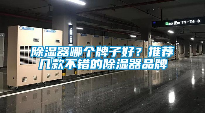 除濕器哪個(gè)牌子好？推薦幾款不錯(cuò)的除濕器品牌