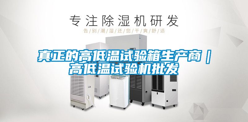 真正的高低溫試驗(yàn)箱生產(chǎn)商｜高低溫試驗(yàn)機(jī)批發(fā)