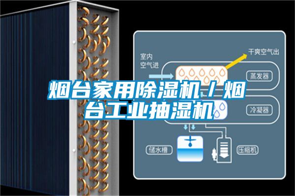 煙臺家用除濕機(jī)／煙臺工業(yè)抽濕機(jī)