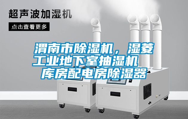 渭南市除濕機(jī)，濕菱工業(yè)地下室抽濕機(jī)  庫(kù)房配電房除濕器