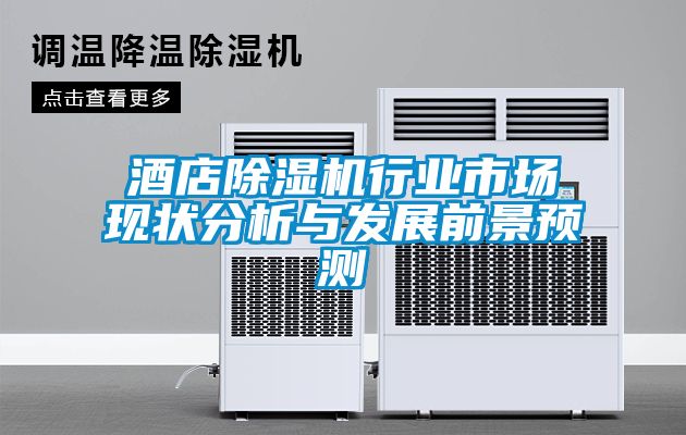 酒店除濕機(jī)行業(yè)市場現(xiàn)狀分析與發(fā)展前景預(yù)測