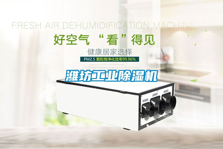 濰坊工業(yè)除濕機