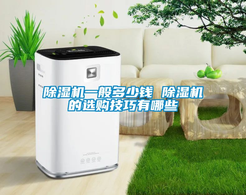 除濕機(jī)一般多少錢 除濕機(jī)的選購(gòu)技巧有哪些