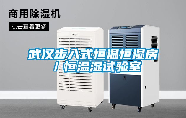 武漢步入式恒溫恒濕房／恒溫濕試驗(yàn)室