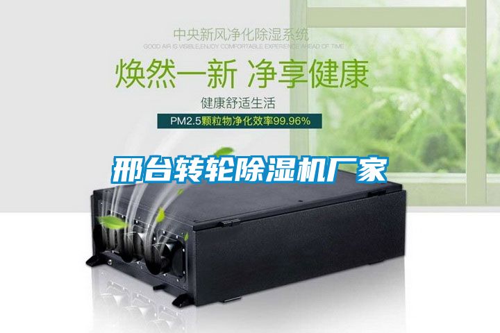 邢臺轉(zhuǎn)輪除濕機(jī)廠家