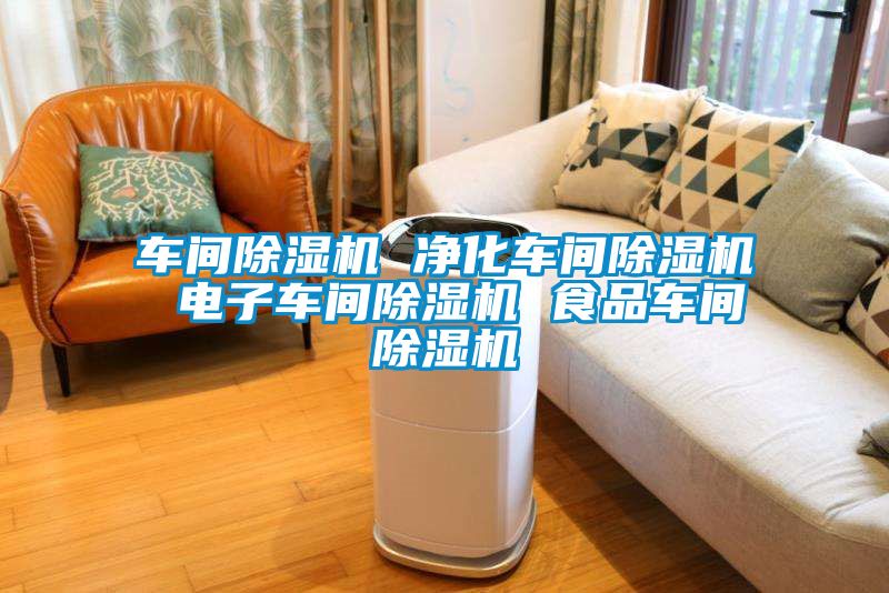 車間除濕機 凈化車間除濕機 電子車間除濕機 食品車間除濕機
