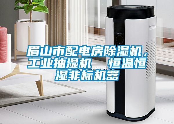 眉山市配電房除濕機，工業(yè)抽濕機  恒溫恒濕非標機器