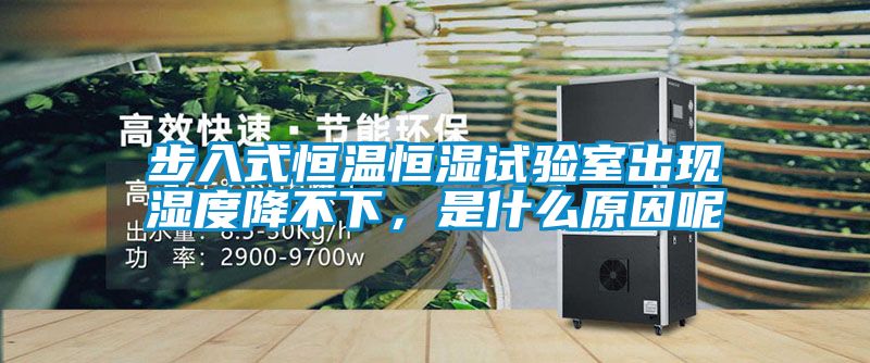 步入式恒溫恒濕試驗室出現(xiàn)濕度降不下，是什么原因呢