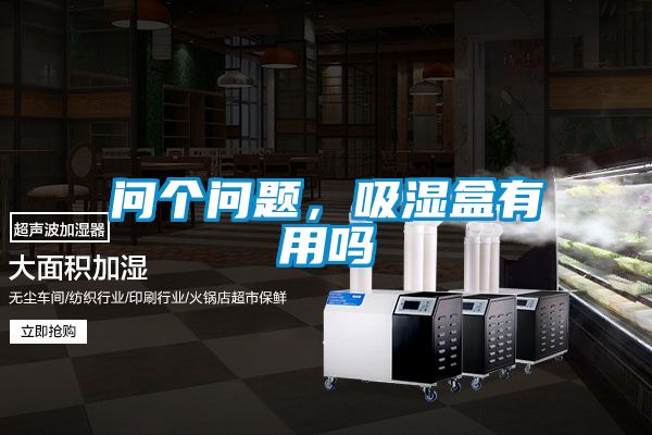 問個(gè)問題，吸濕盒有用嗎