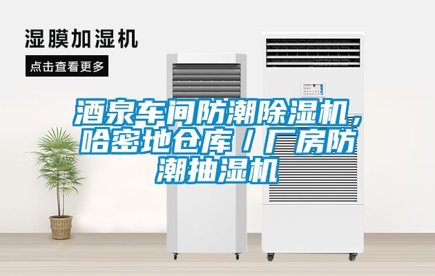 酒泉車間防潮除濕機，哈密地倉庫／廠房防潮抽濕機