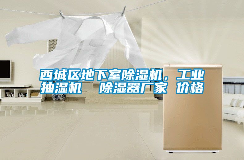 西城區(qū)地下室除濕機，工業(yè)抽濕機  除濕器廠家 價格