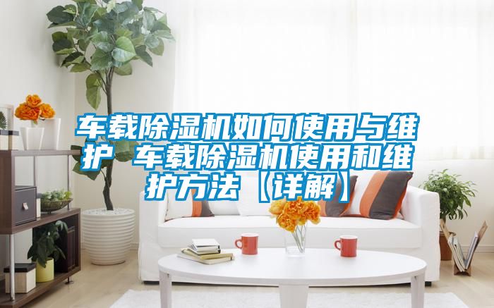 車(chē)載除濕機(jī)如何使用與維護(hù) 車(chē)載除濕機(jī)使用和維護(hù)方法【詳解】